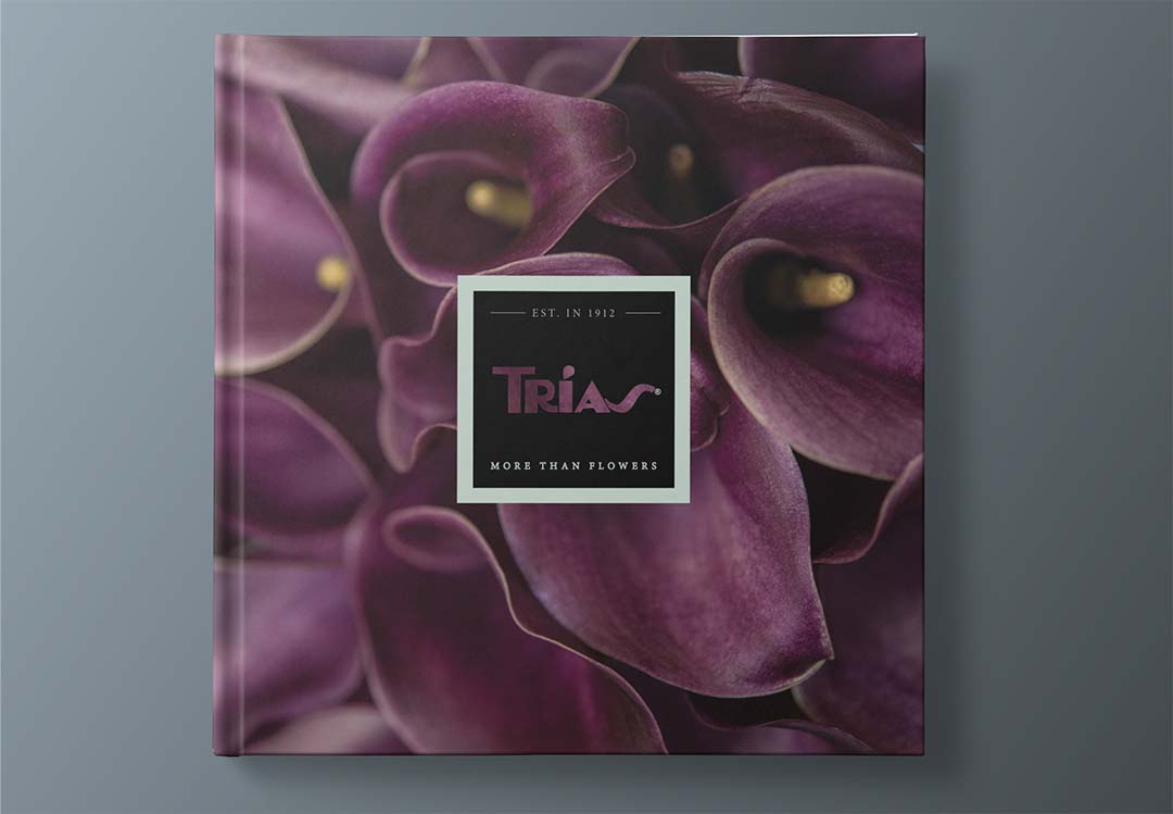 I Dream Design Group - Trias Flowers & Gifts - Client Work