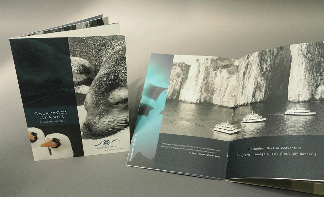 I Dream Design Group - Silversea Cruise Line - Client Work